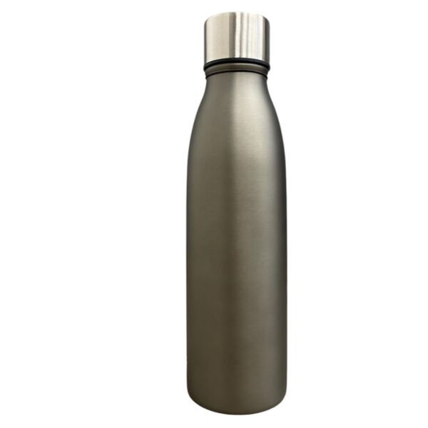 BOTELLA THERMOS 500 ML CON TAPA PULSADOR